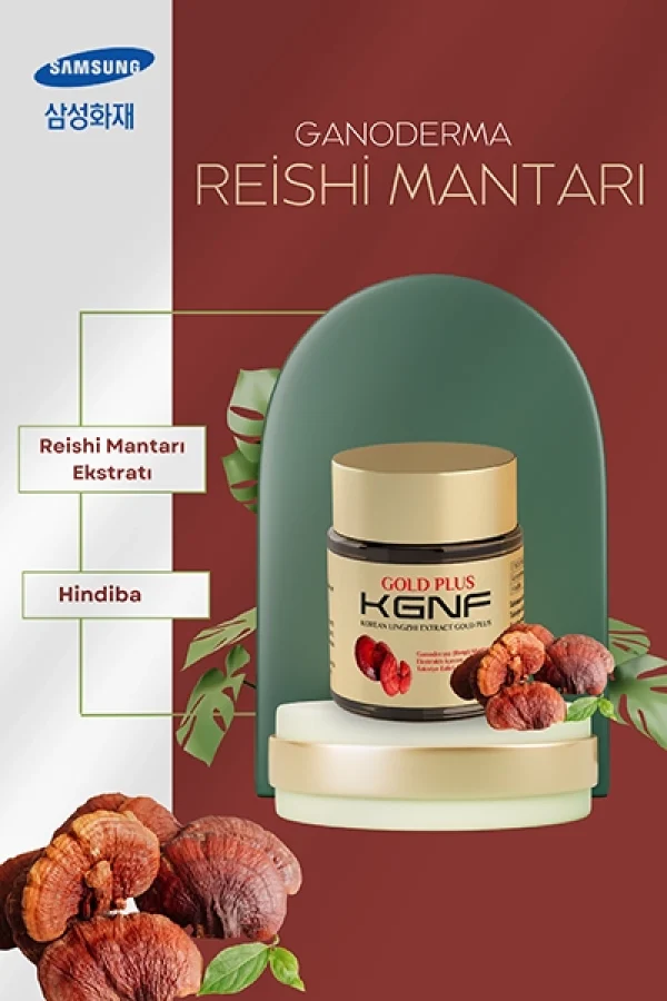 KGNF Ganoderma Reishi(Lingzhi) Mantarı Ekstraktı – 100% Kore - Smart Koresan