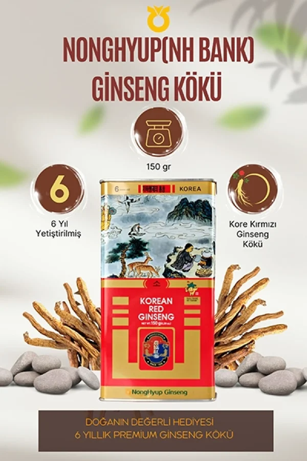 Pungi NongHyup(NH) Ginseng Kökü – 150gr 6 Yıllık Premium Ginseng - KORE GINSENG