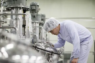 Ginseng Ekstrakt Çıkartılması